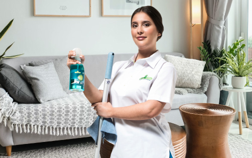 Diarista sem Produtos